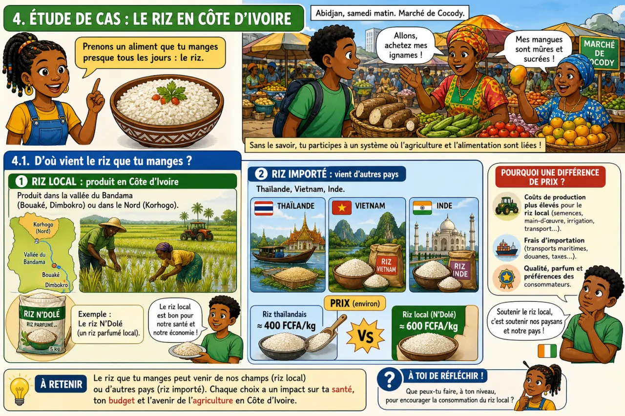 Agriculture et alimentation — illustration