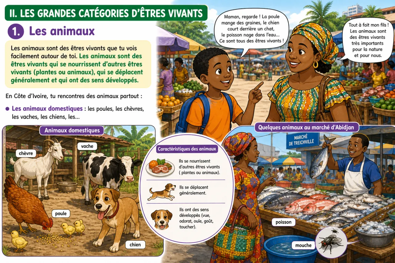 Les êtres vivants — illustration