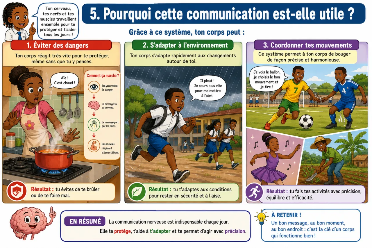 Communication nerveuse — illustration