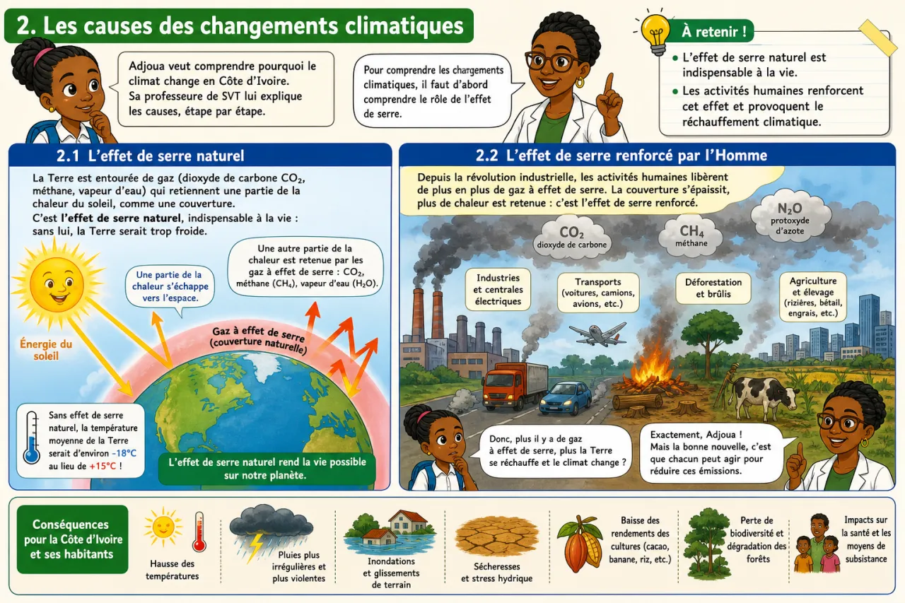 Changements climatiques — illustration