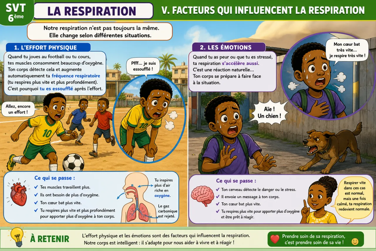 La respiration — illustration