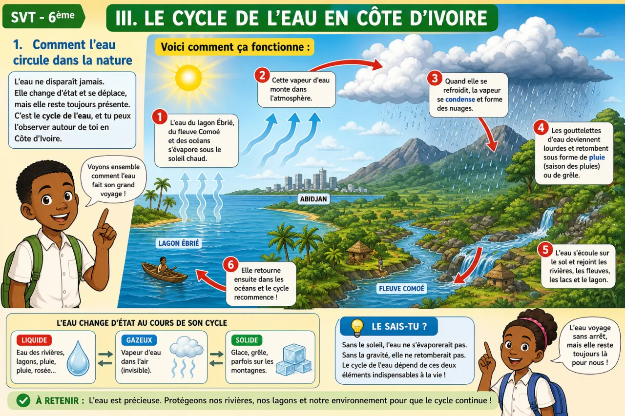 Les états de l’eau — illustration