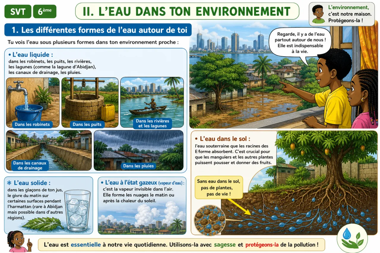 L’environnement — illustration