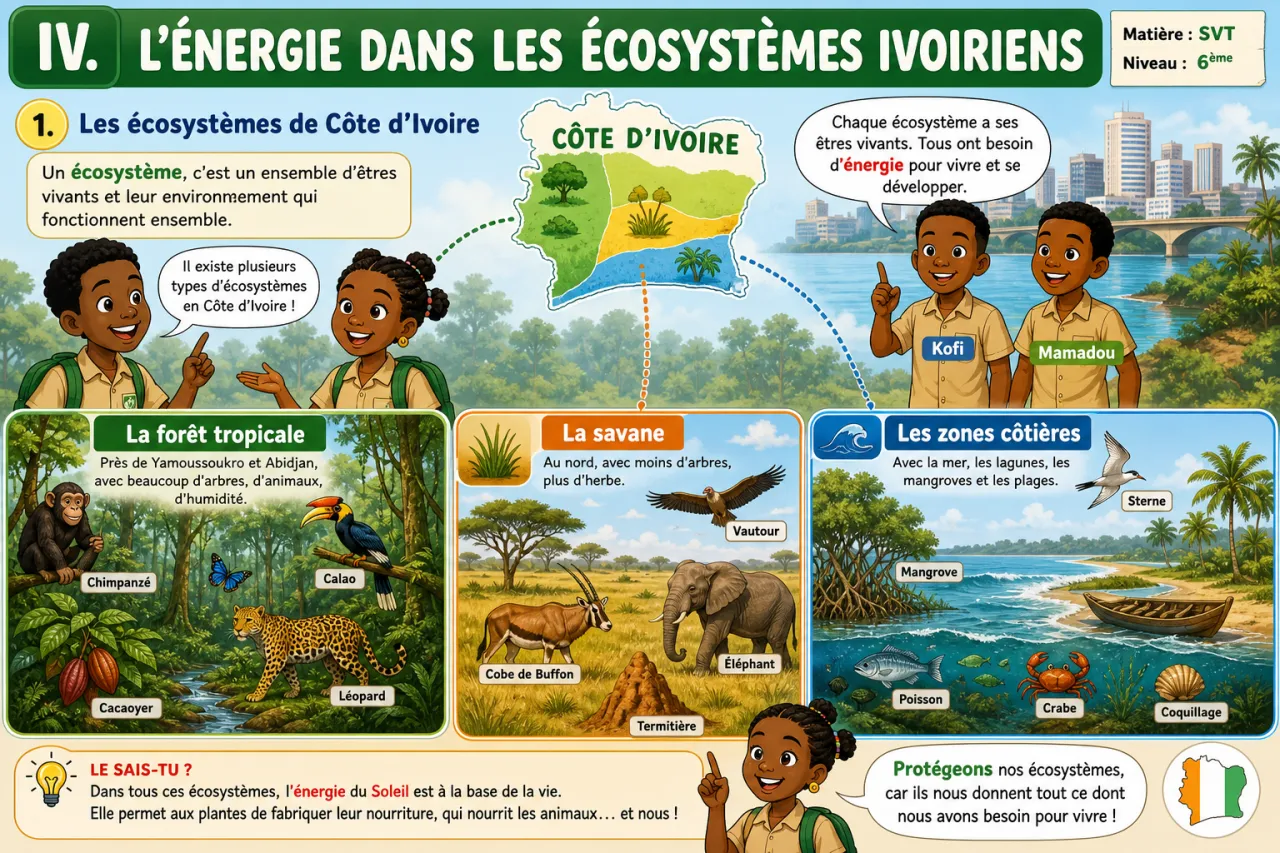 L’énergie — illustration