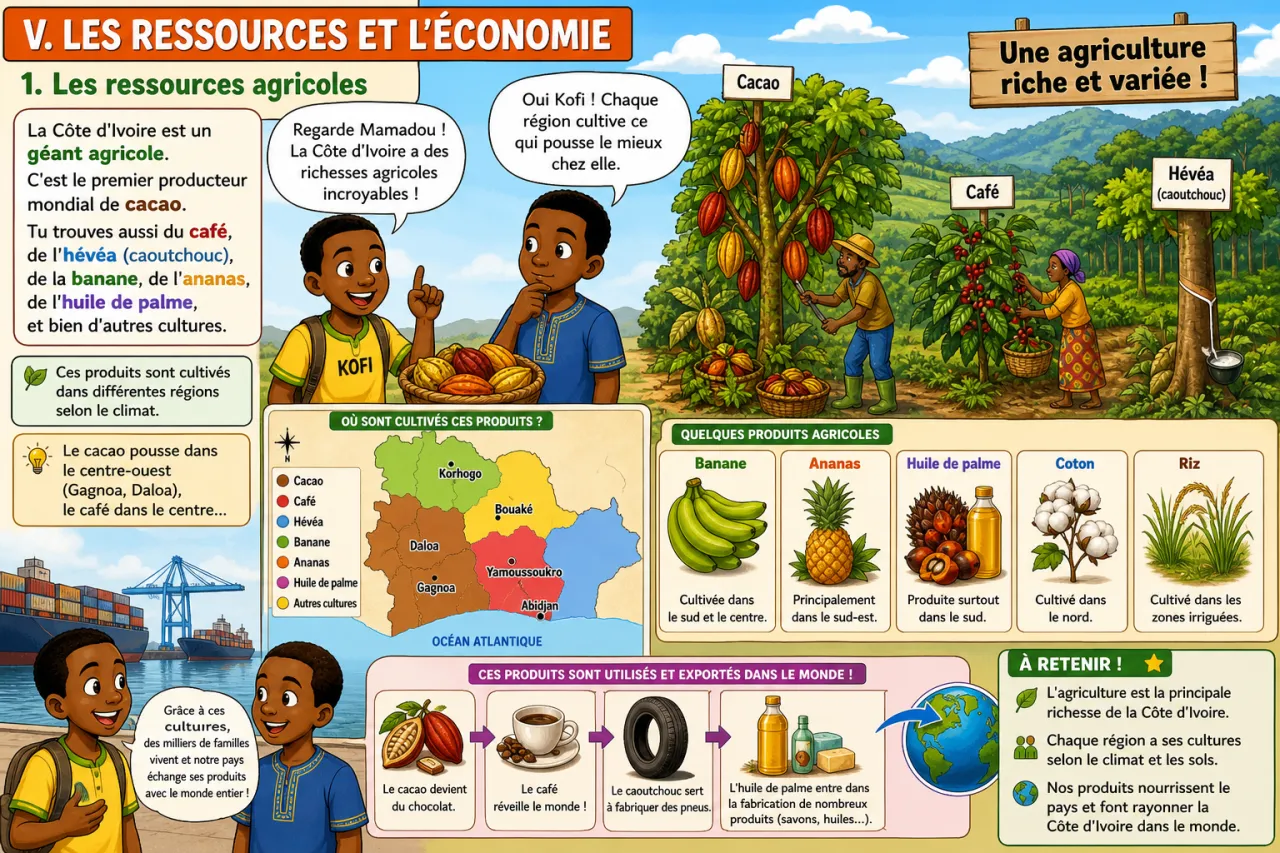 La Côte d’Ivoire — illustration