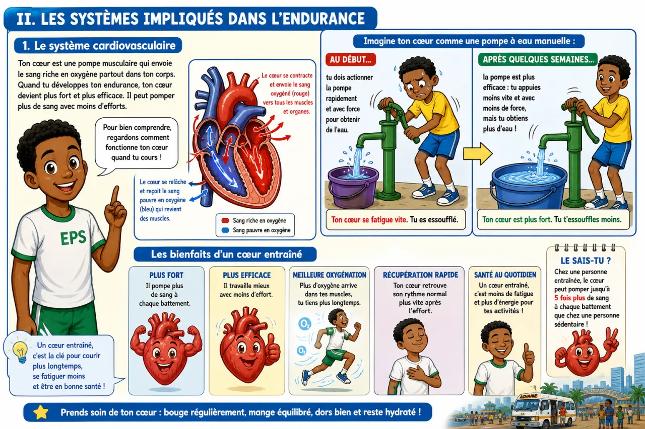 Endurance — illustration