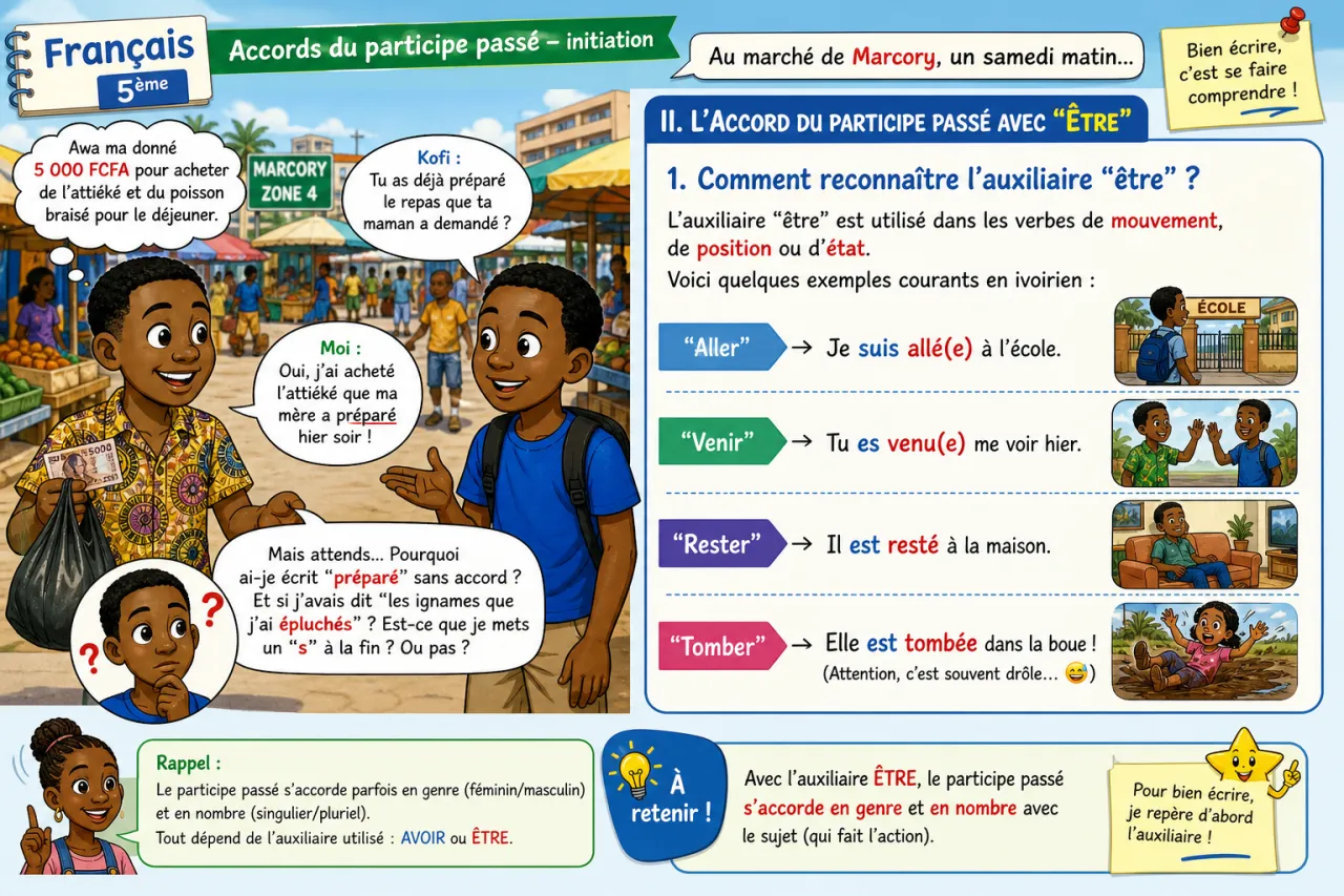 Accords du participe passé - initiation — illustration