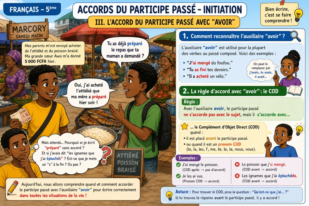 Accords du participe passé - initiation — illustration