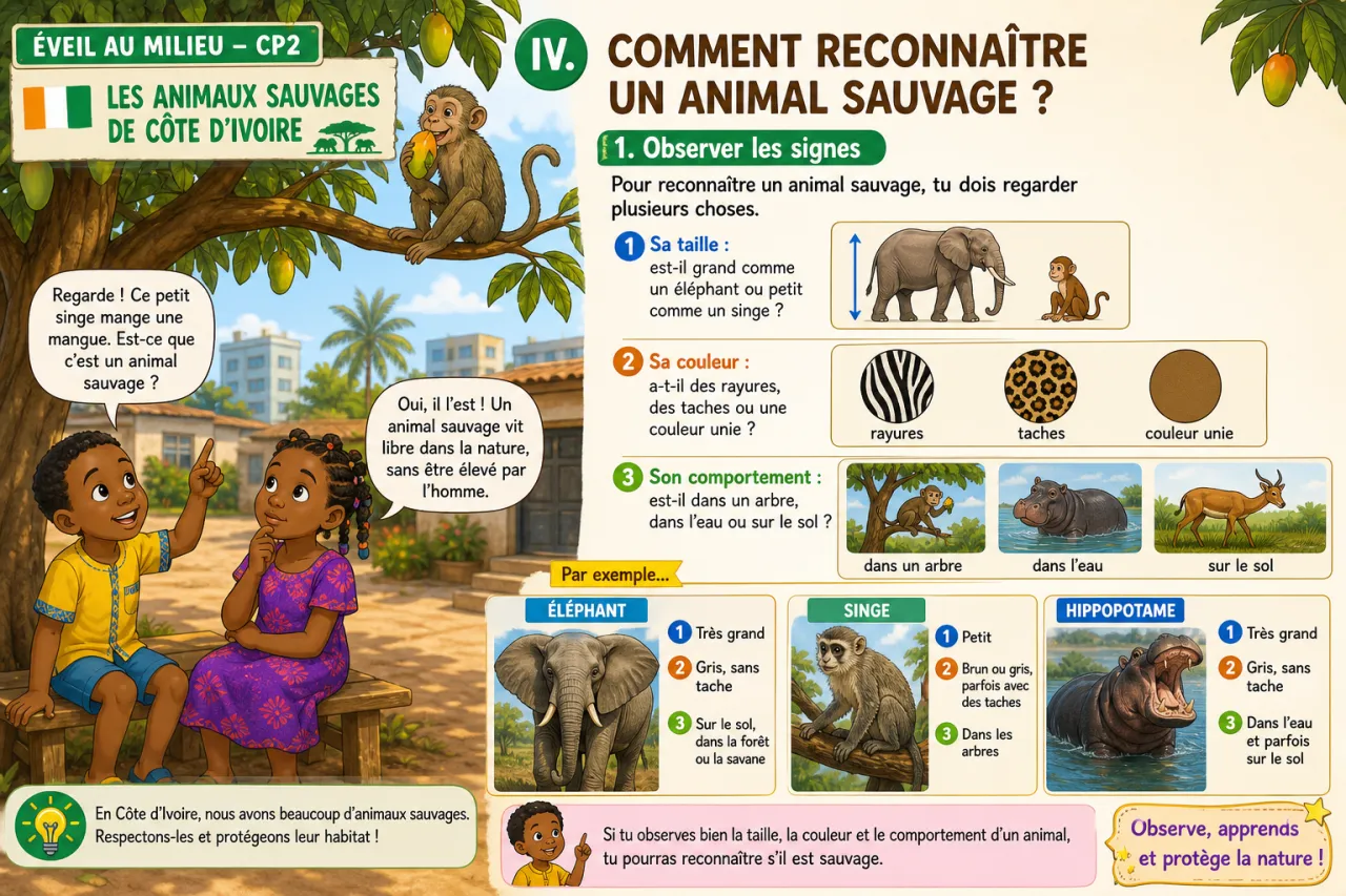 Les animaux sauvages de Côte d'Ivoire — illustration