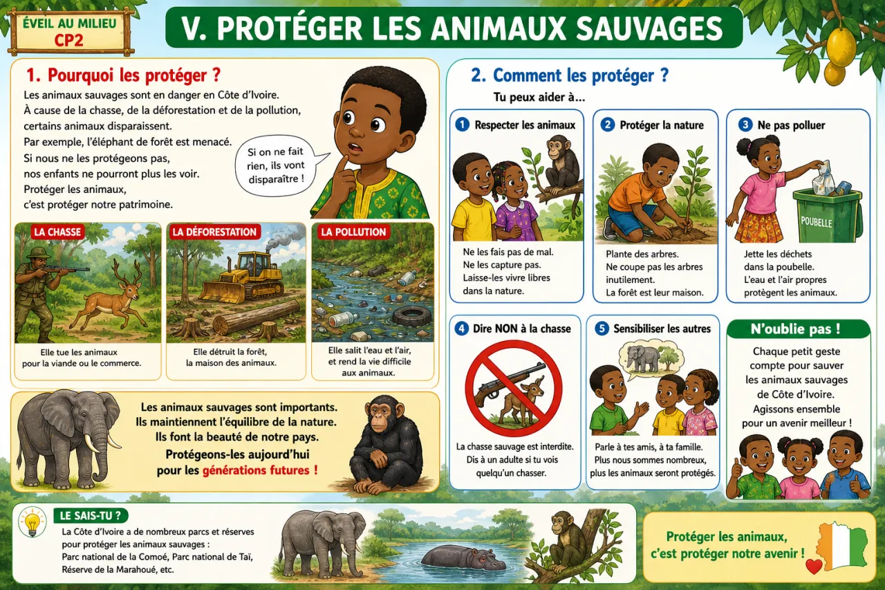 Les animaux sauvages de Côte d'Ivoire — illustration