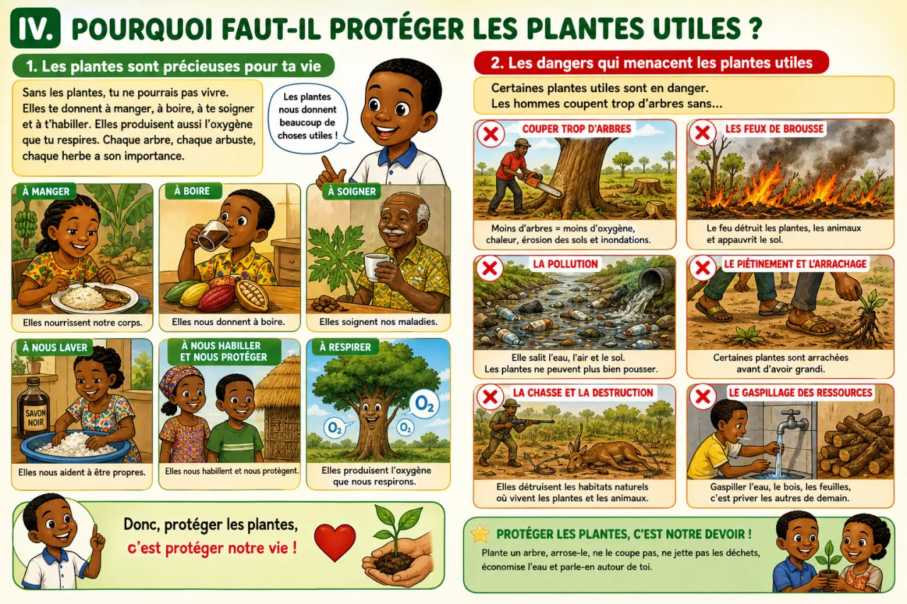 Les plantes utiles dans ma vie quotidienne — illustration