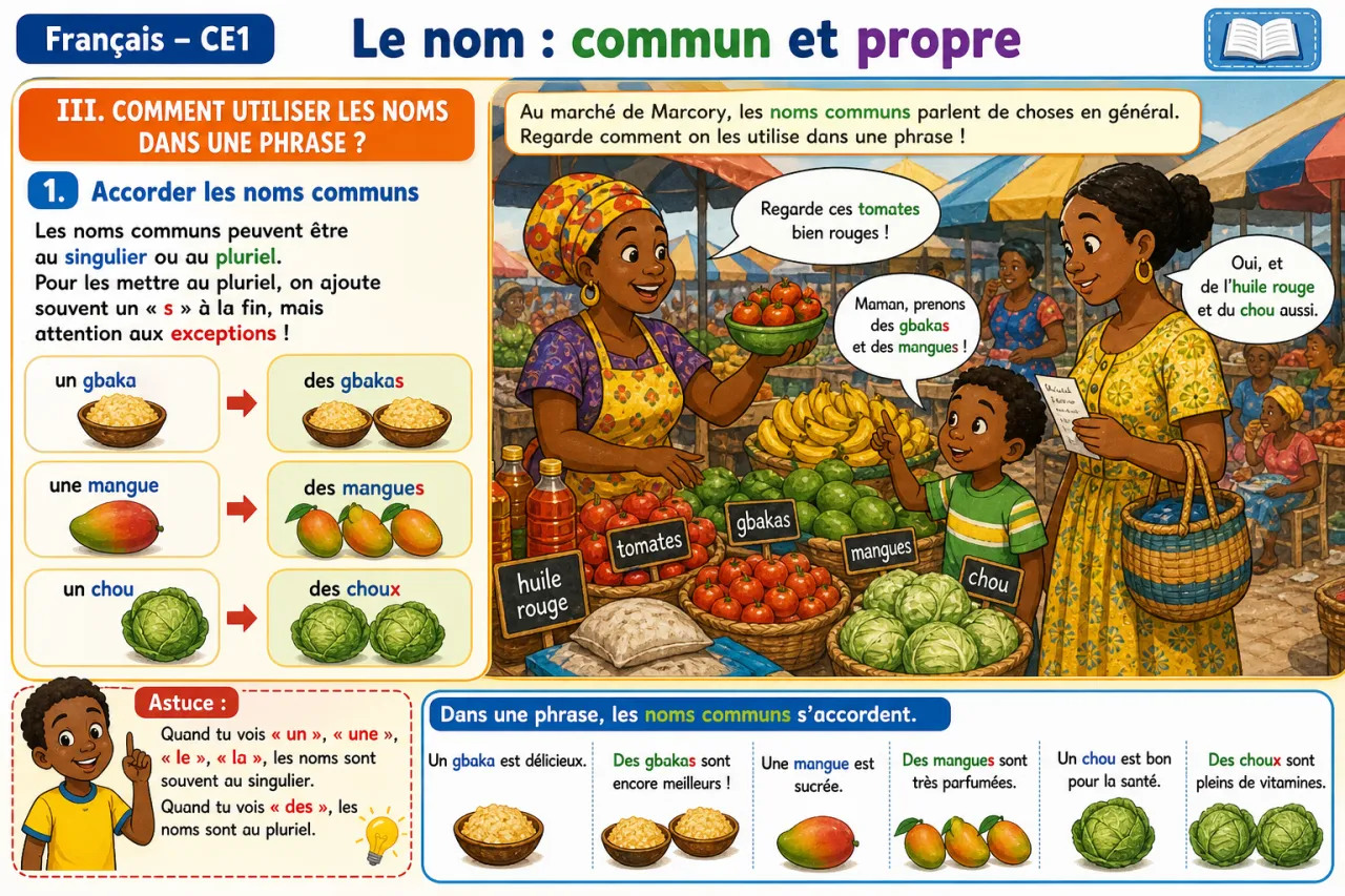 Le nom : commun et propre — illustration