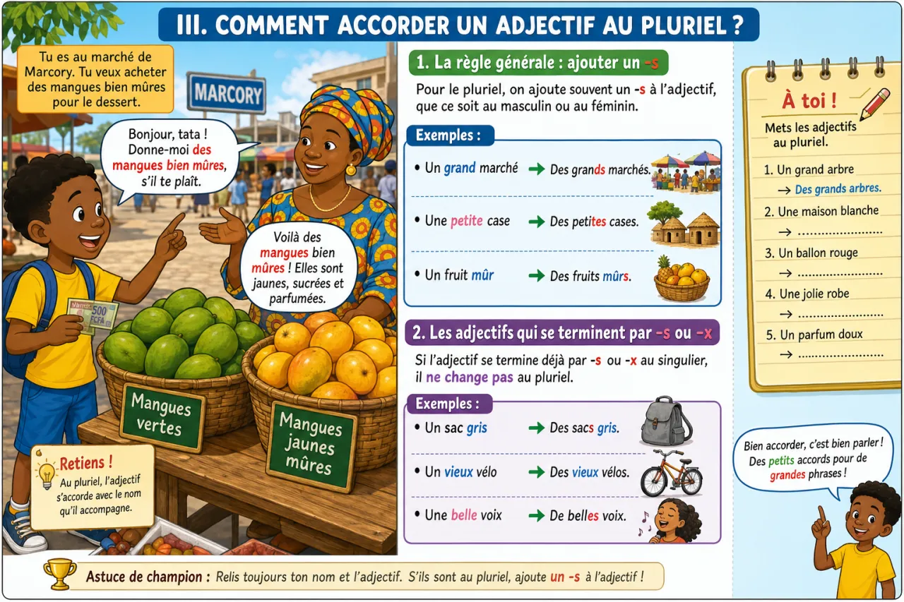 L'accord du nom et de l'adjectif — illustration