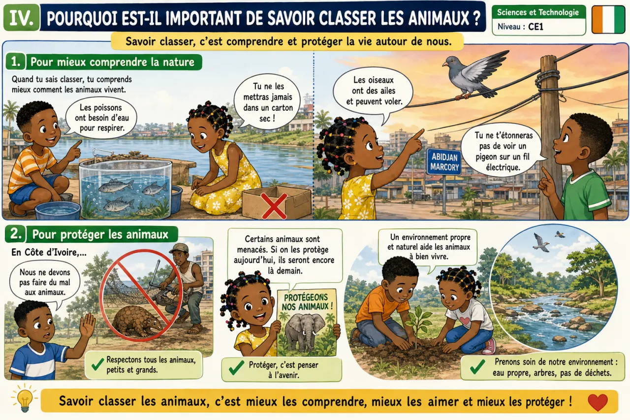 Classer les animaux (vertébrés / invertébrés) — illustration