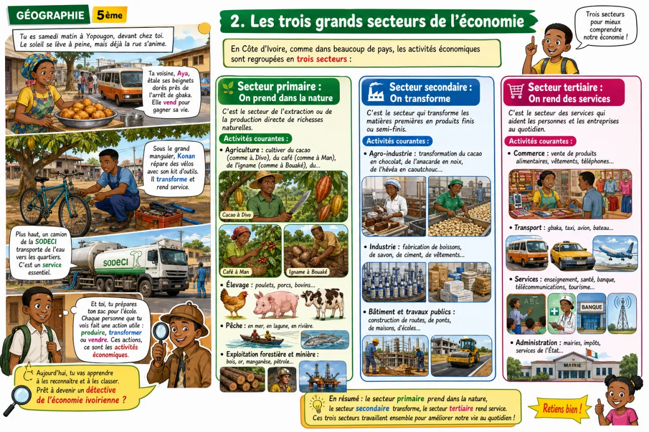 Les activités économiques — illustration