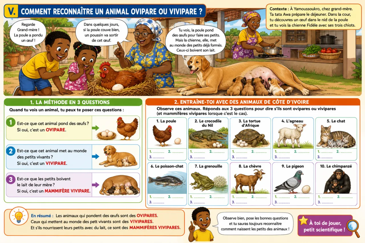 Illustration section 5