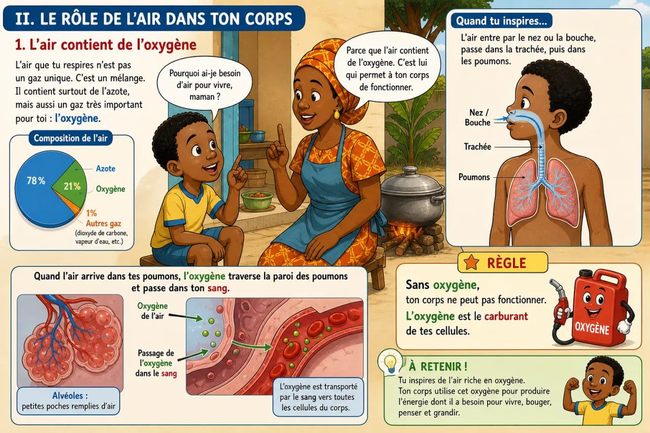 La respiration : comment nous utilisons l'air — illustration