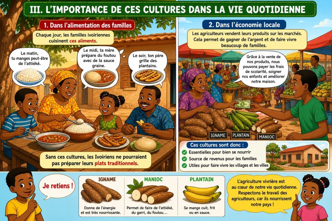 L'agriculture vivrière (igname, manioc, plantain) — illustration