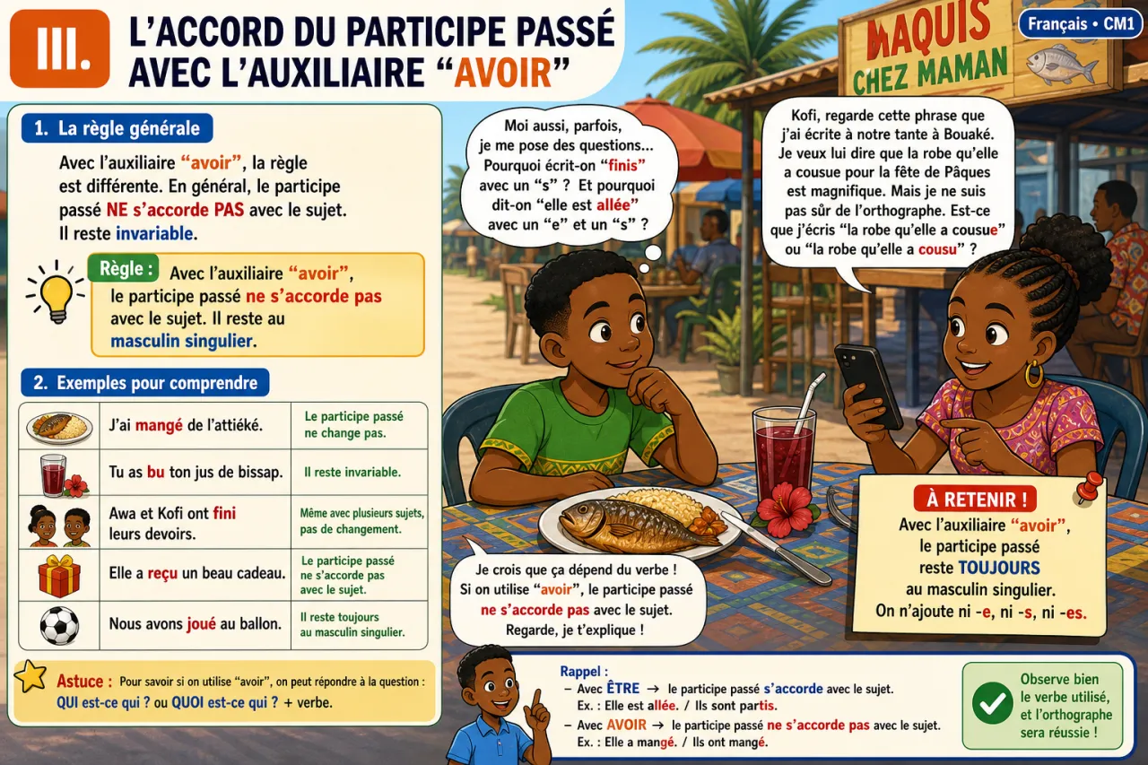 L'accord du participe passé avec être et avoir — illustration