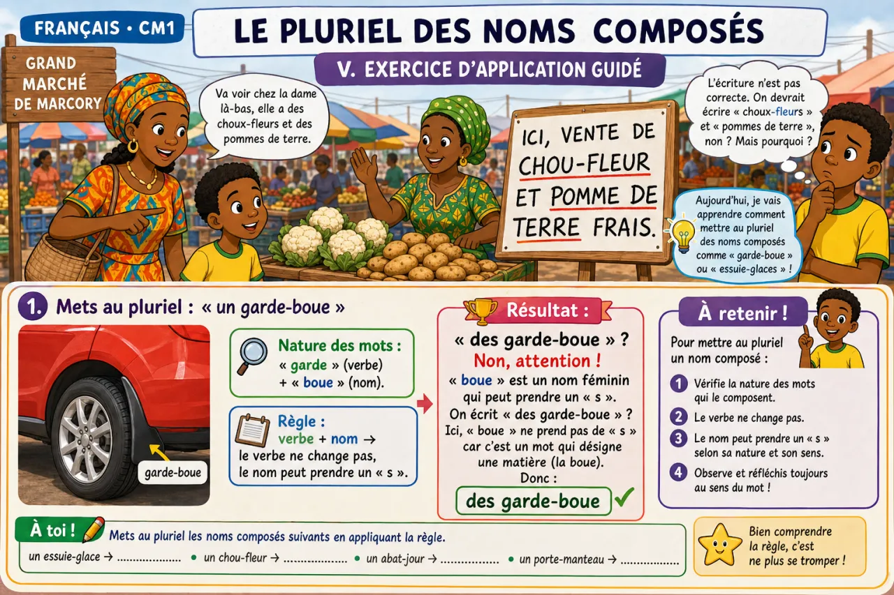 Le pluriel des noms composés — illustration