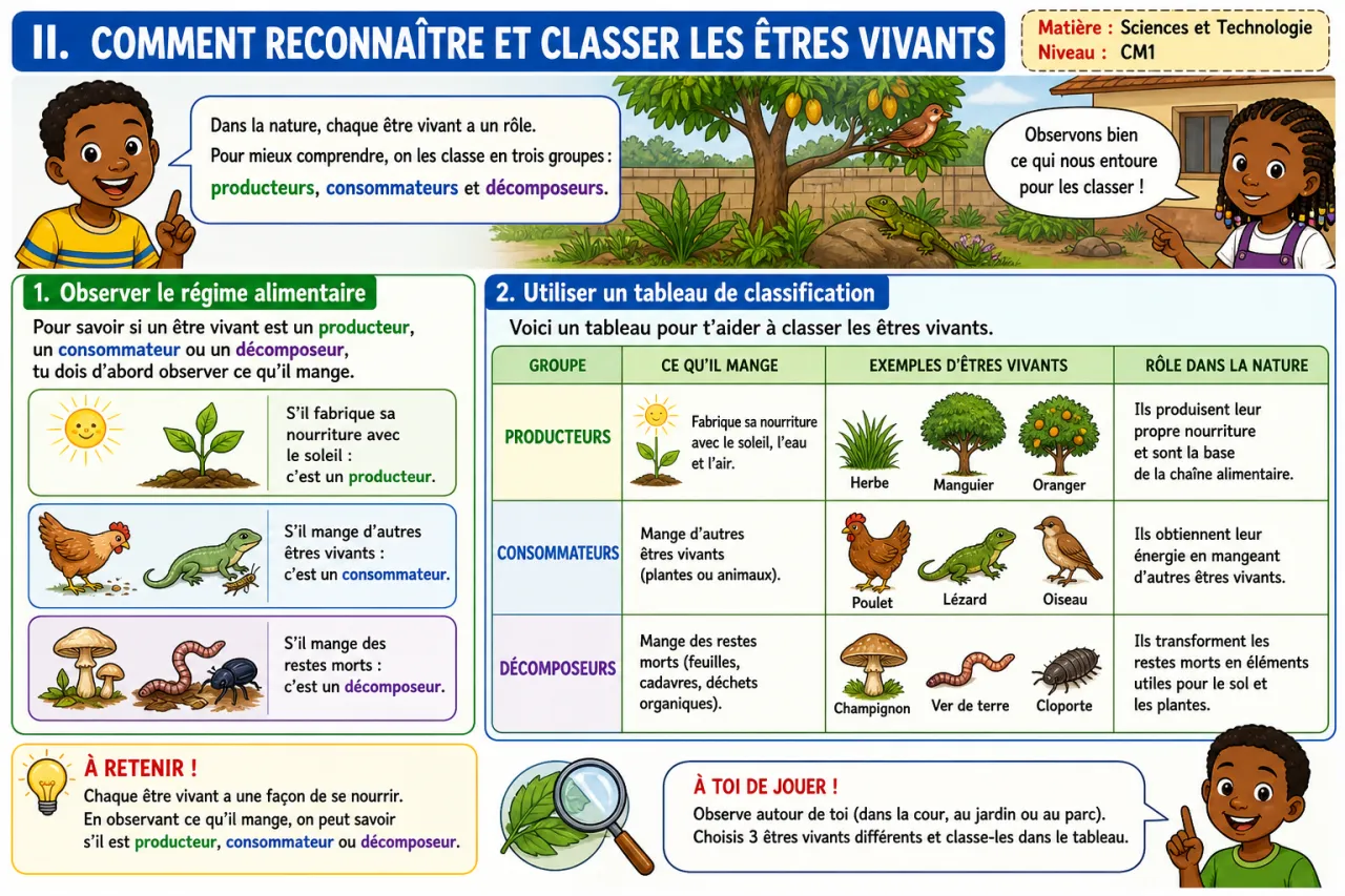 Les producteurs, consommateurs et décomposeurs — illustration