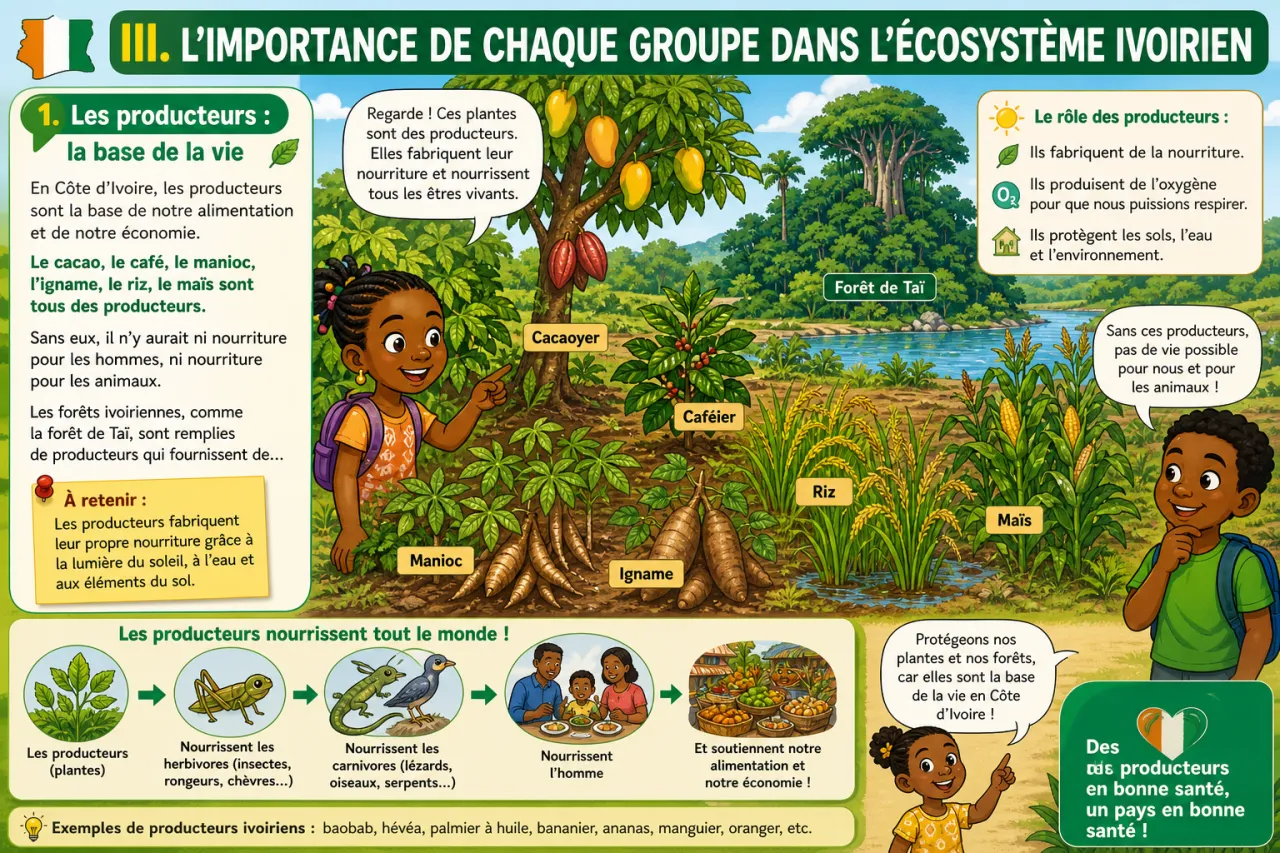 Les producteurs, consommateurs et décomposeurs — illustration