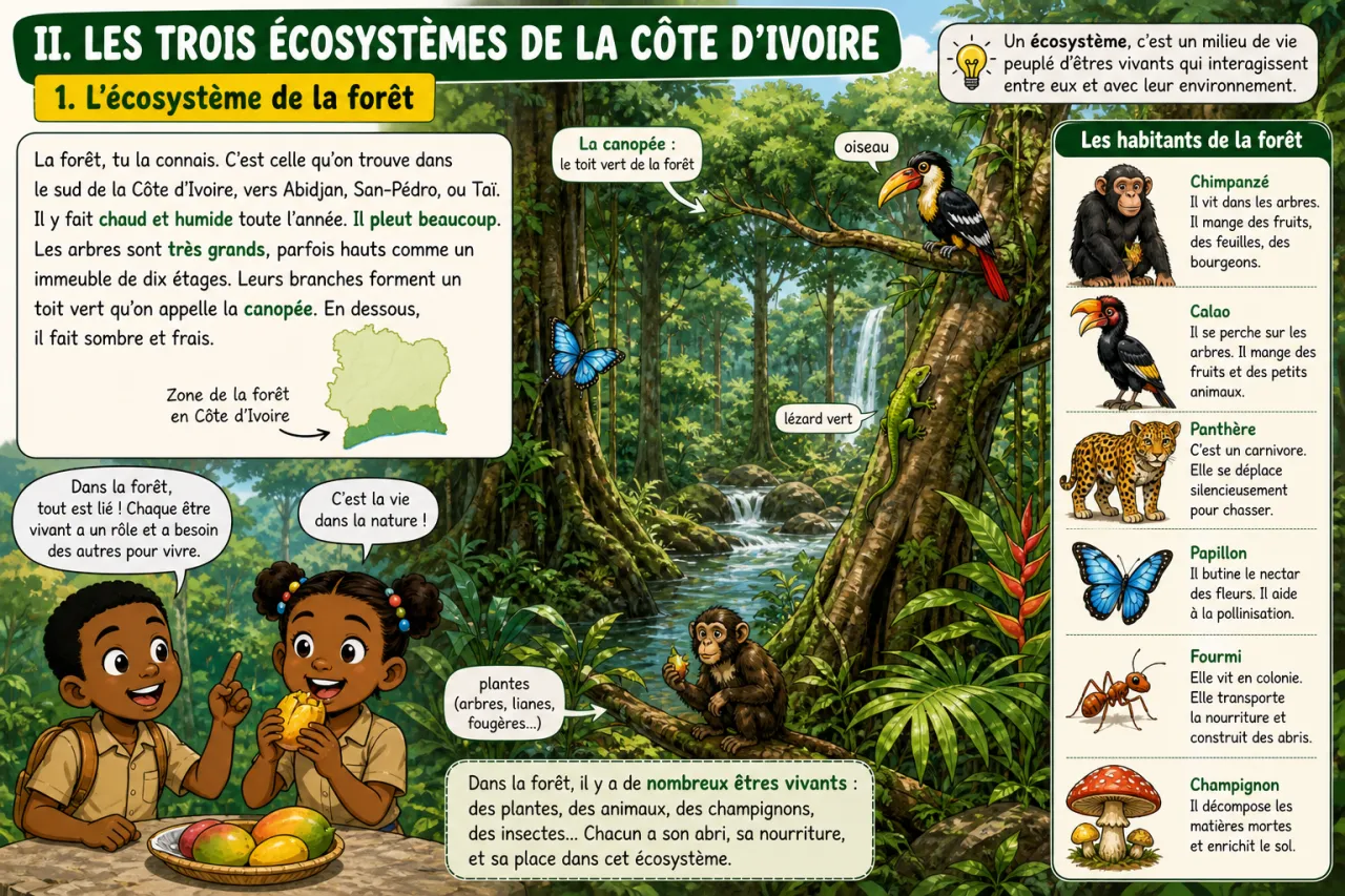 Les écosystèmes : forêt, savane, lagune en CI — illustration