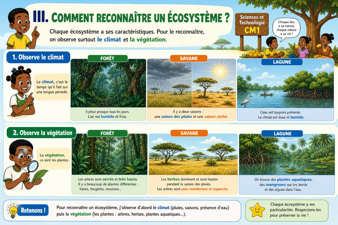 Les écosystèmes : forêt, savane, lagune en CI — illustration