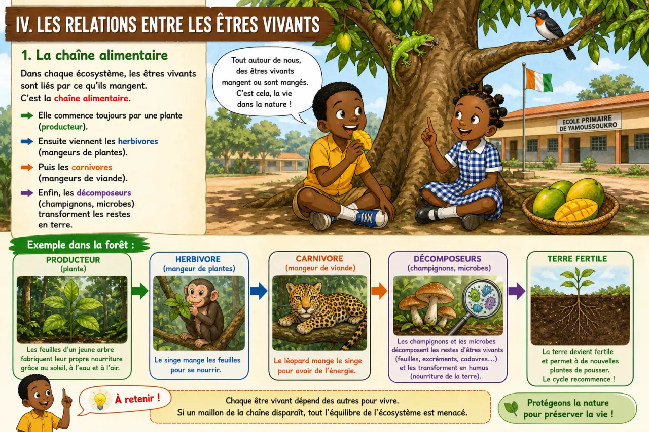 Les écosystèmes : forêt, savane, lagune en CI — illustration