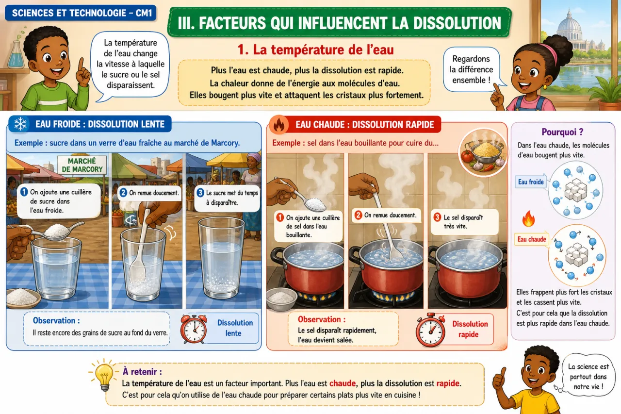 La dissolution : sucre et sel dans l'eau — illustration