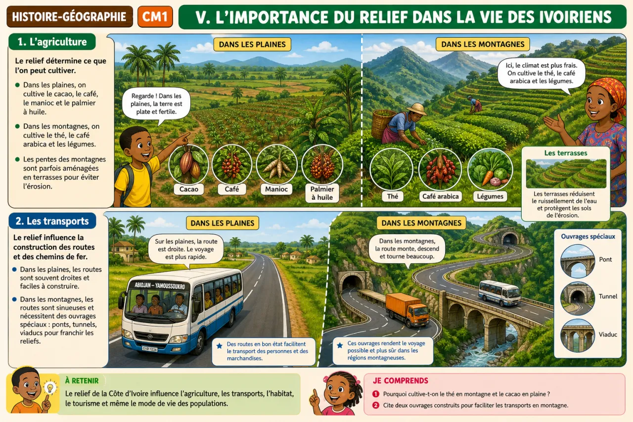 Le relief de la Côte d'Ivoire (montagnes, plaines, côtes) — illustration