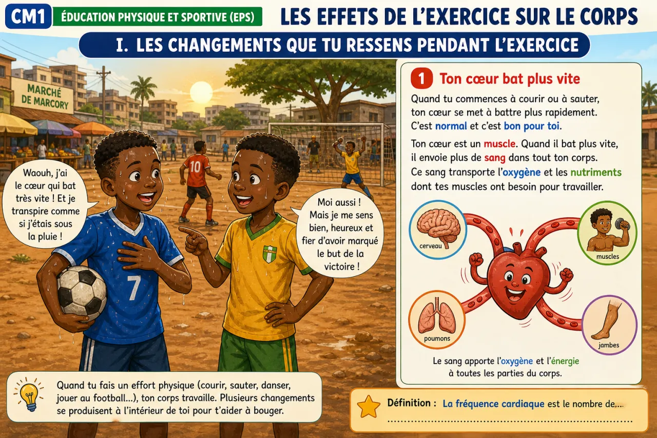 Les effets de l'exercice sur le corps — illustration