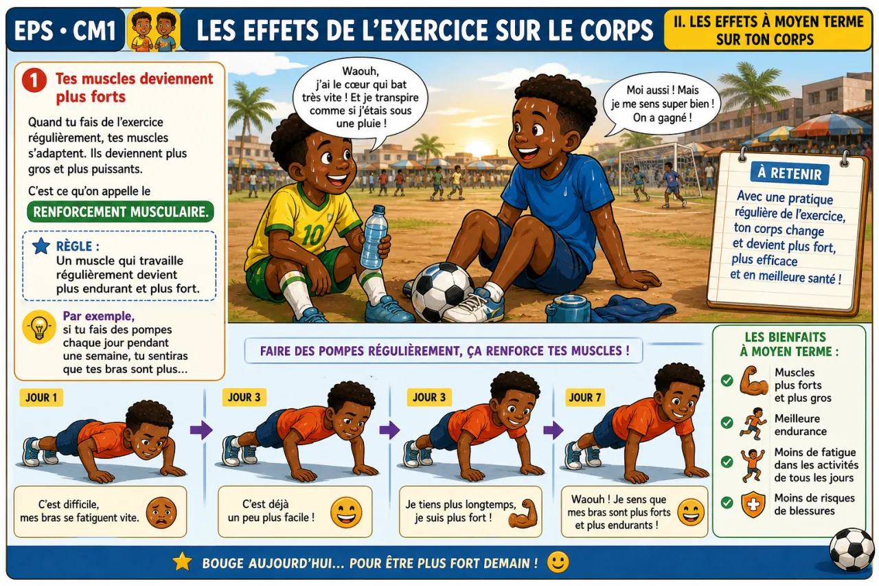 Les effets de l'exercice sur le corps — illustration