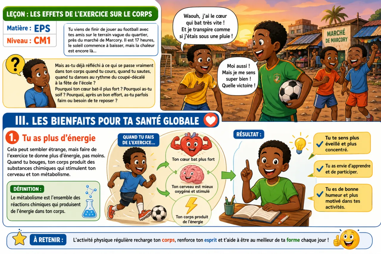 Les effets de l'exercice sur le corps — illustration