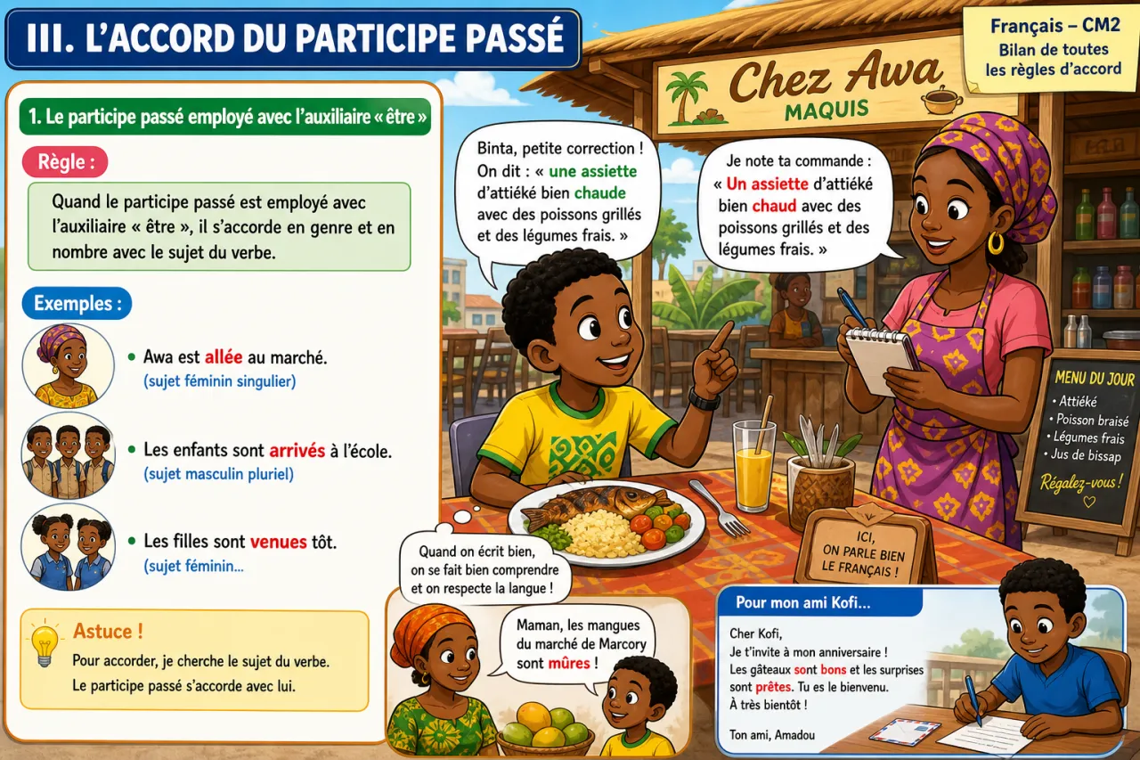 Bilan de toutes les règles d'accord — illustration