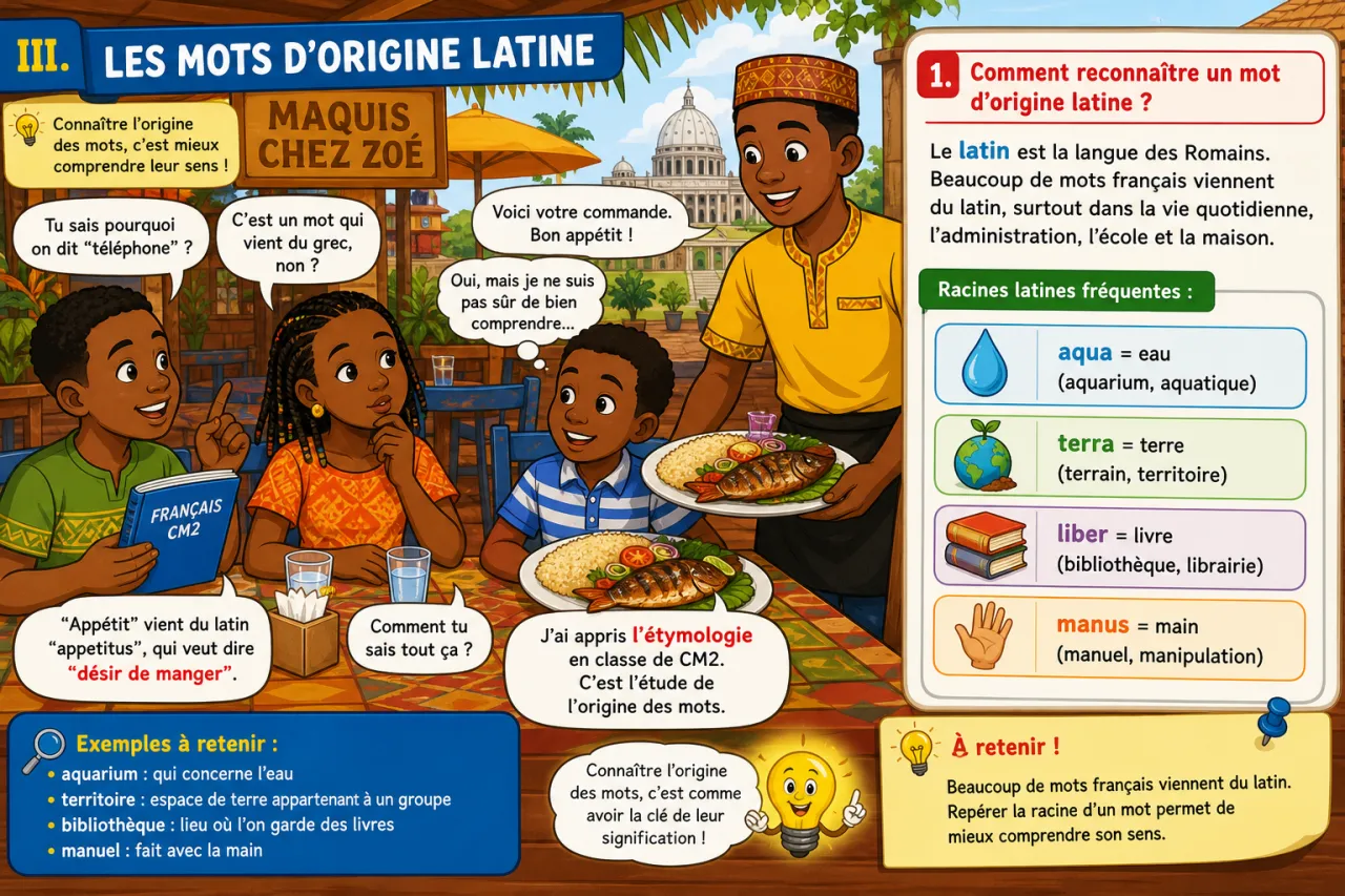 L'étymologie : origine grecque et latine des mots — illustration