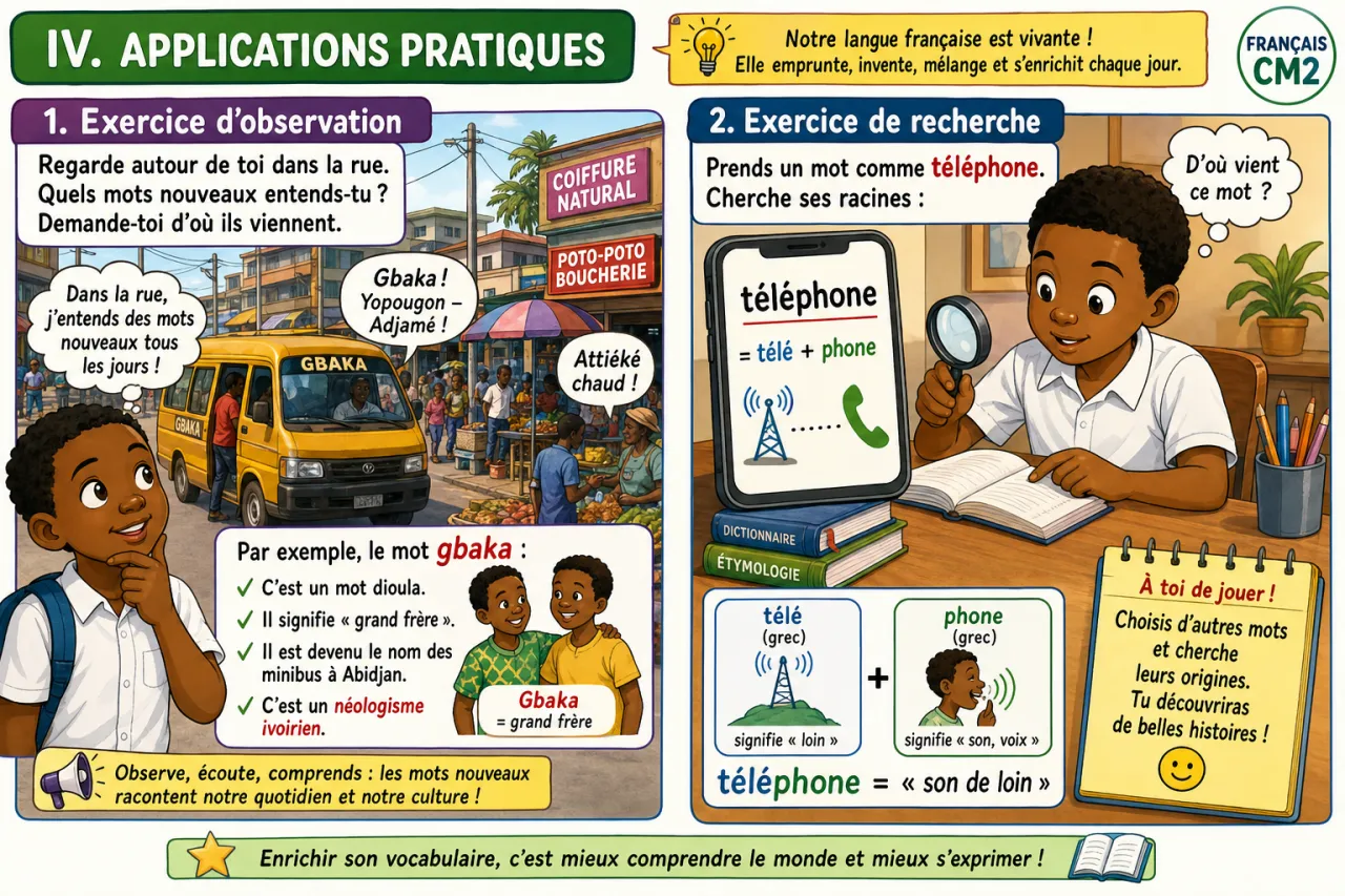 Illustration section 4