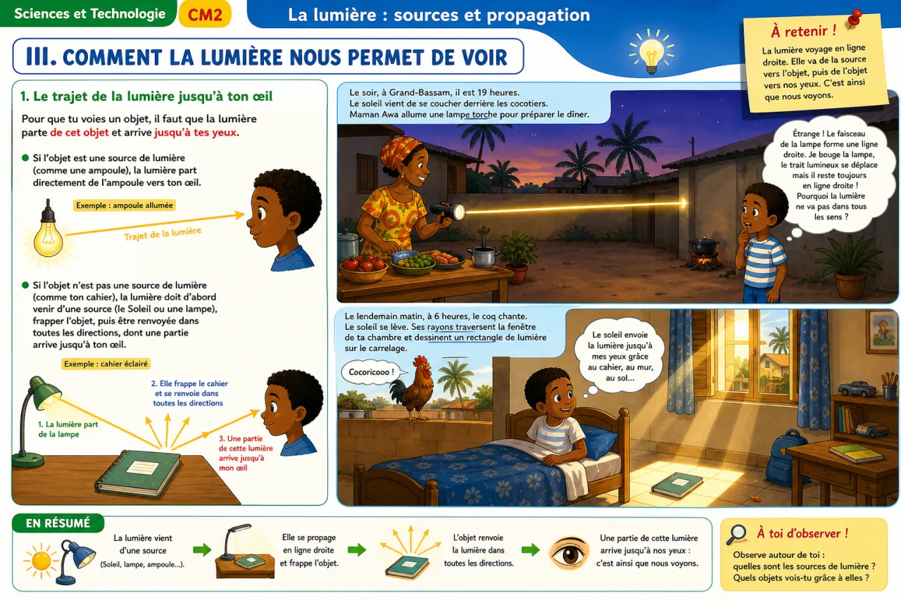 La lumière : sources et propagation — illustration