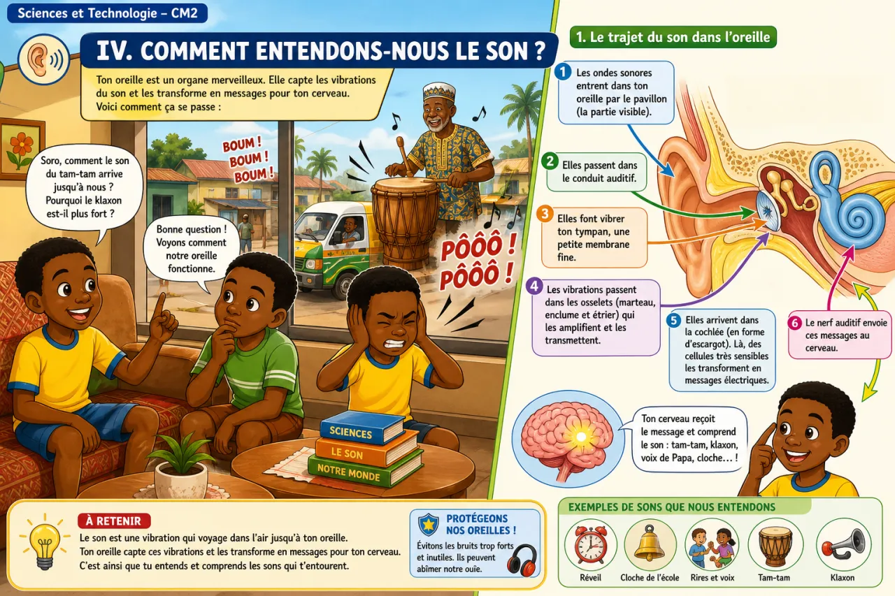 Le son : production, propagation et bruit — illustration