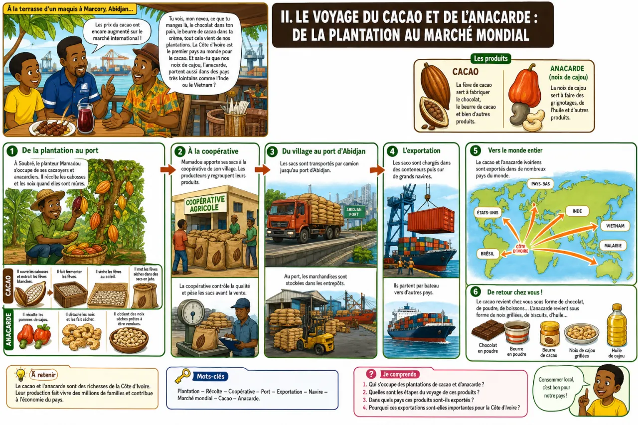 Les exportations de CI dans le monde (cacao, anacarde) — illustration
