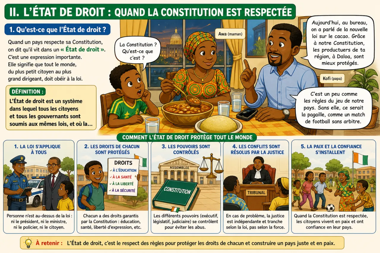 Qu'est-ce qu'une Constitution ? — illustration