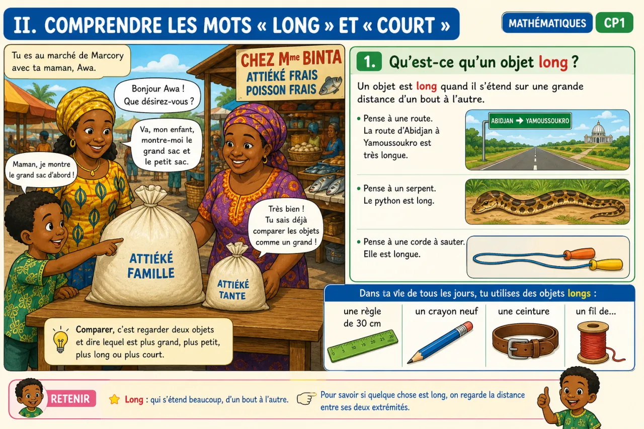 Grand, petit, long, court : comparer des objets — illustration