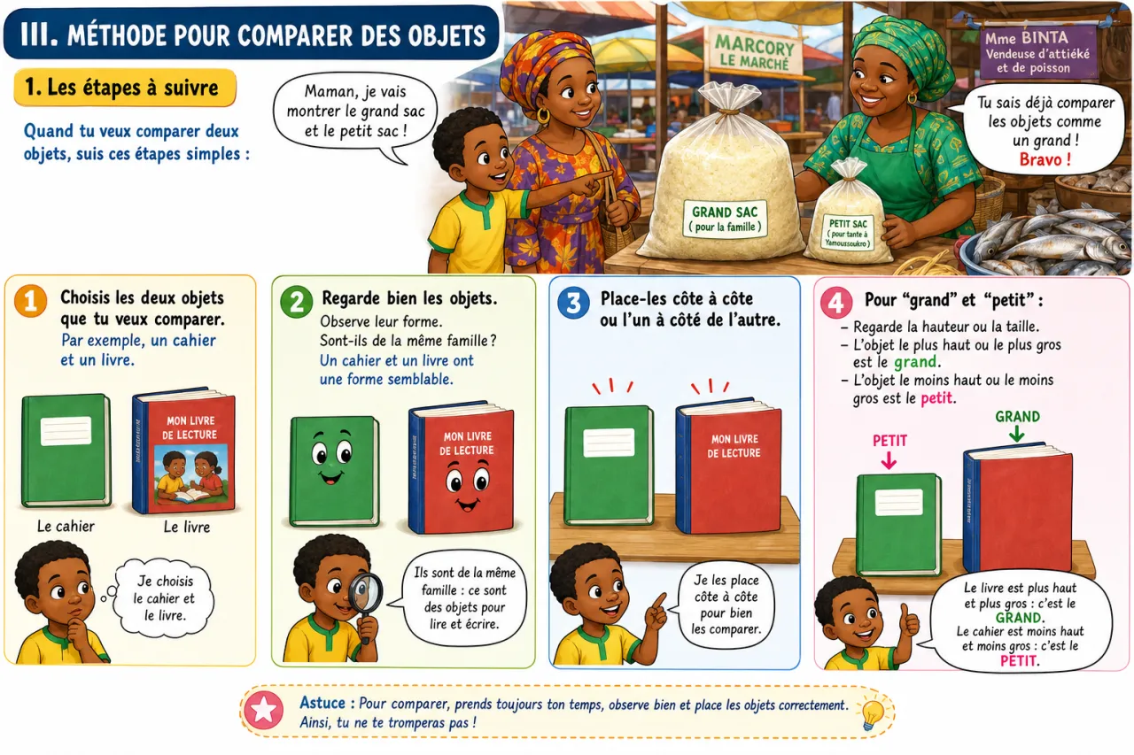 Grand, petit, long, court : comparer des objets — illustration