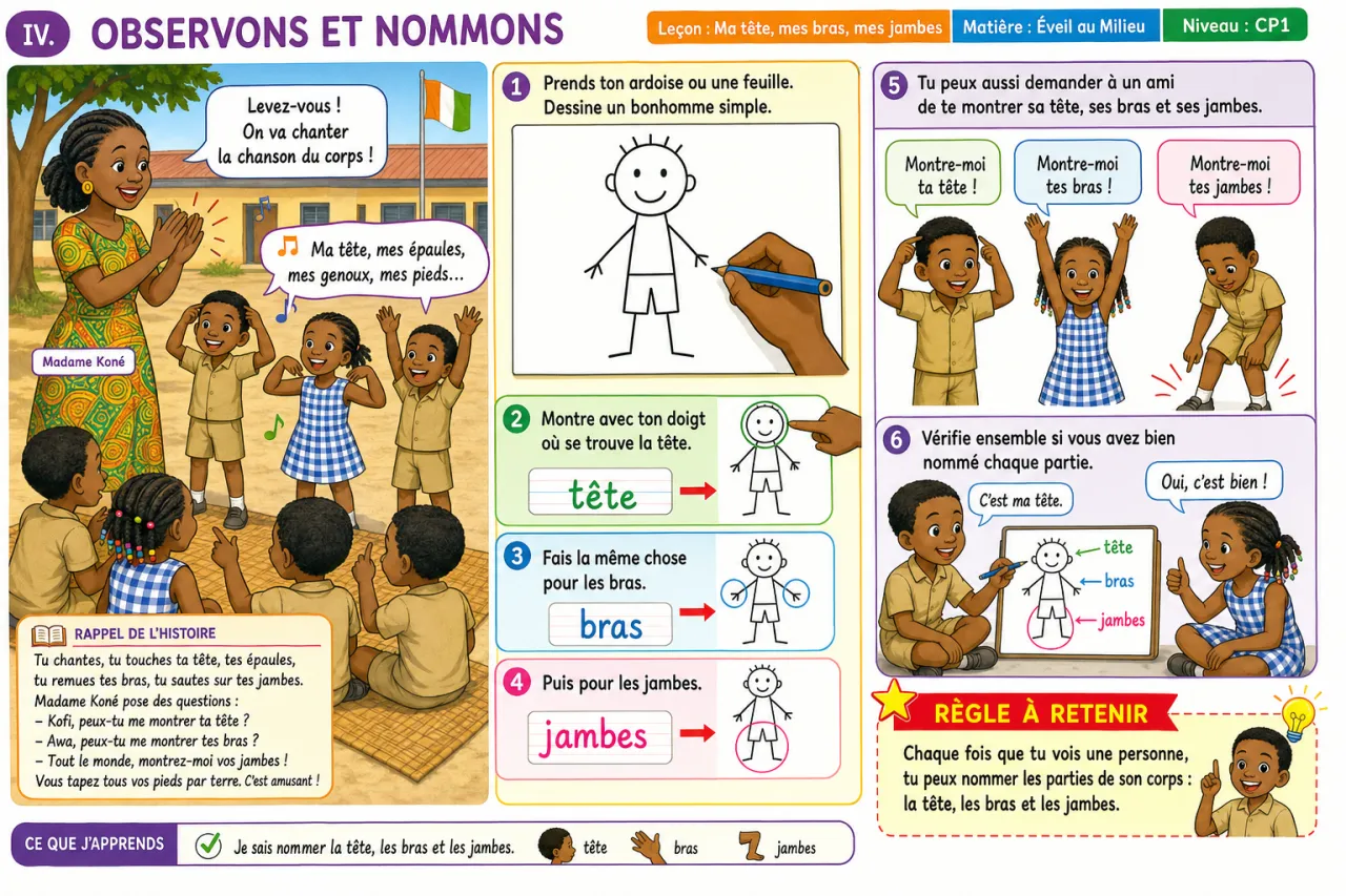 Ma tête, mes bras, mes jambes — illustration