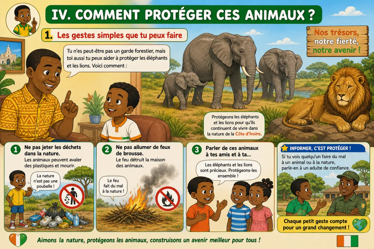 Les animaux sauvages de Côte d'Ivoire (éléphant, lion) — illustration