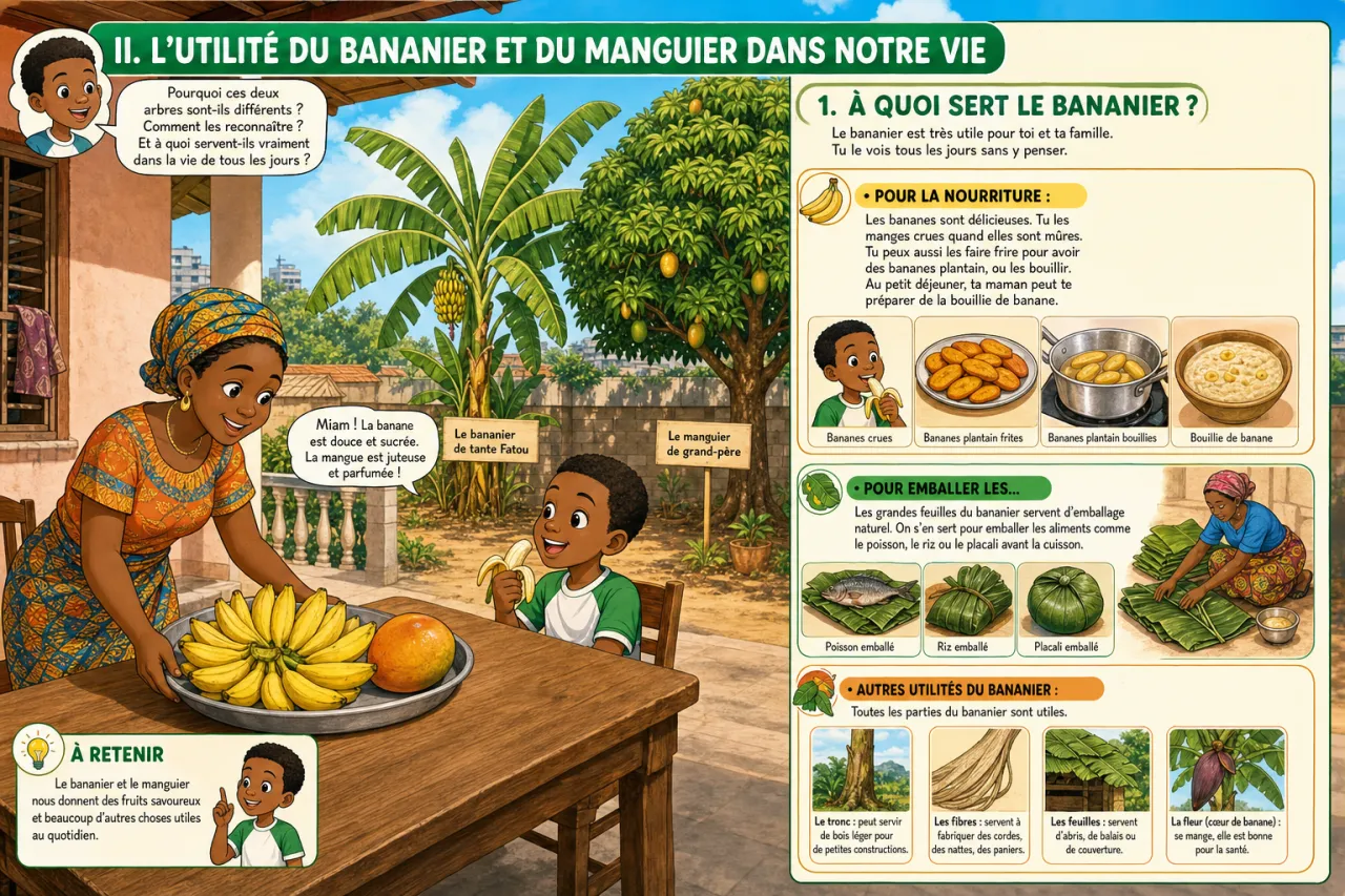 Le bananier et le manguier — illustration