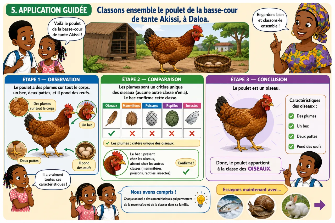 Classification des animaux — illustration