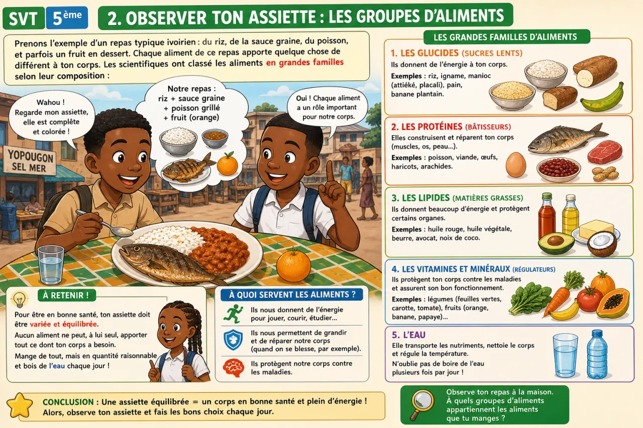 Alimentation humaine — illustration