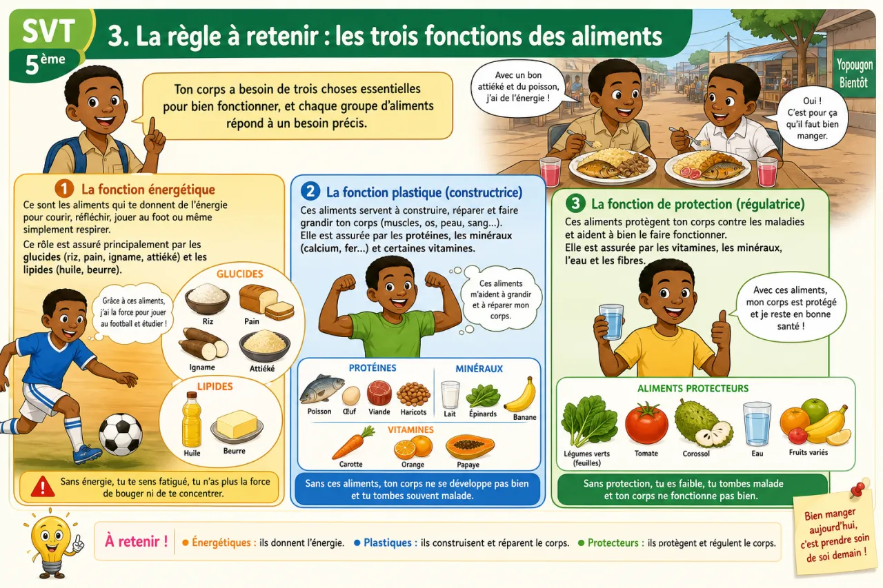 Alimentation humaine — illustration