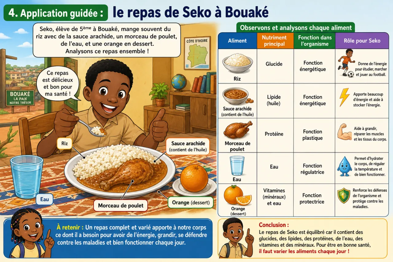 Alimentation humaine — illustration